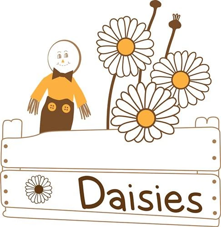 Daisies