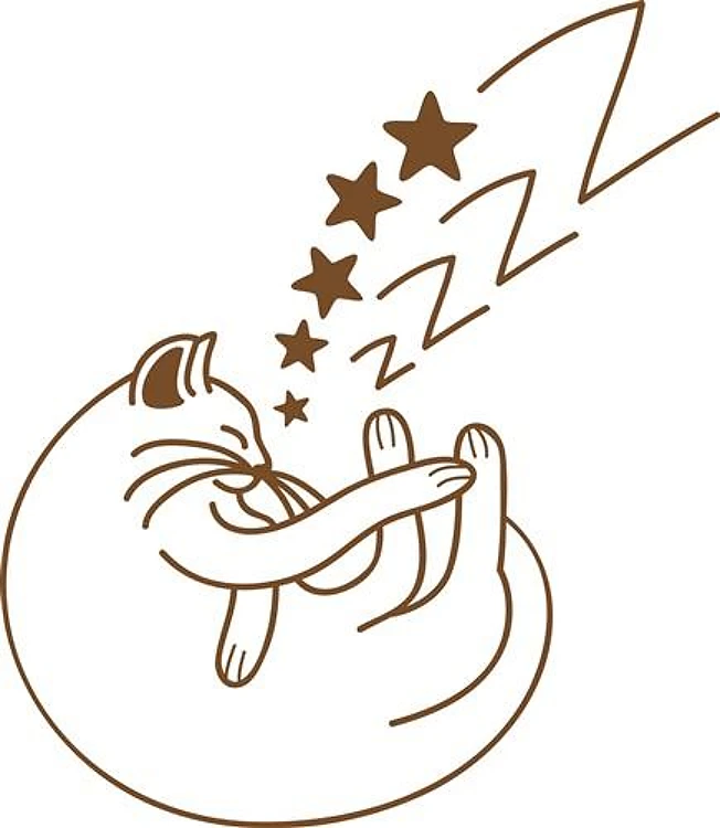 Cat Nap