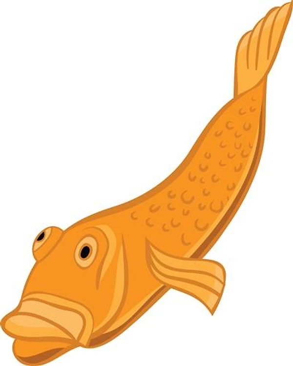 Gold Fish