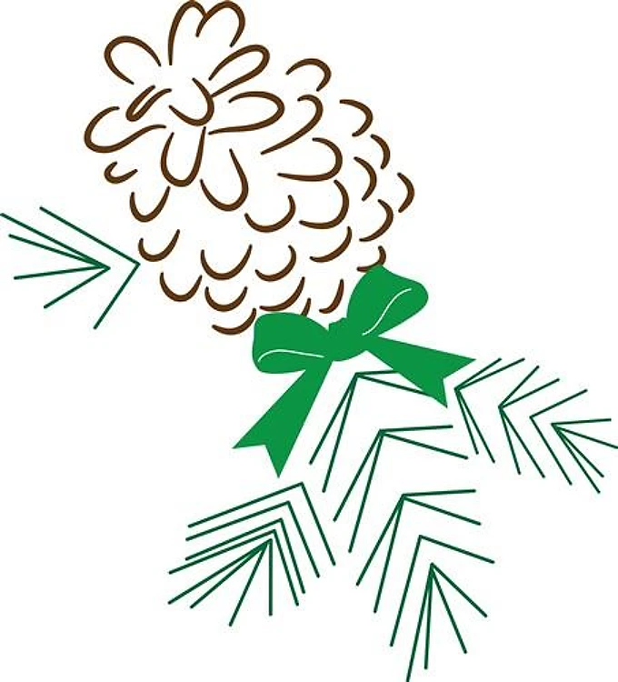 Pine Cone