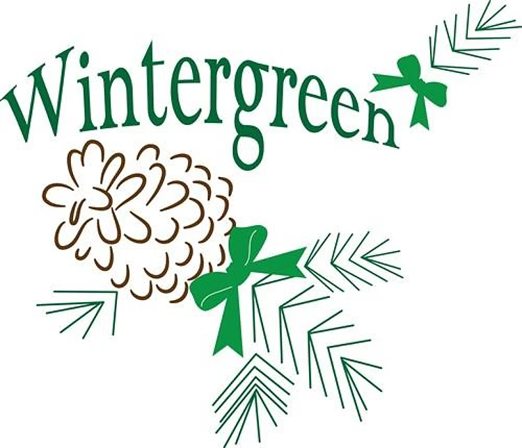 Wintergreen