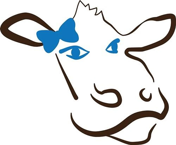 Cow With Bow