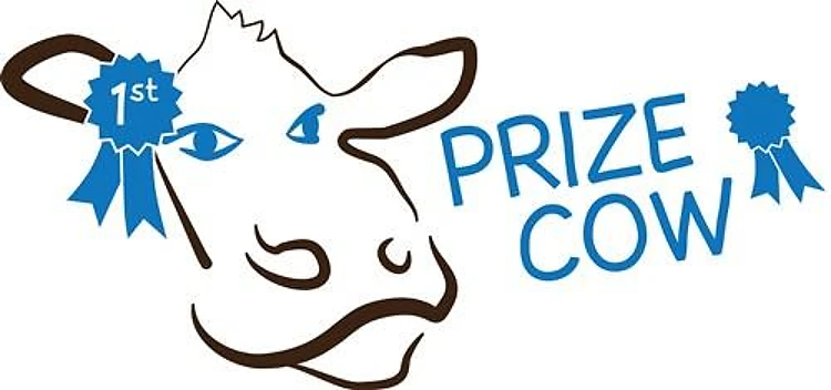 Prize Cow