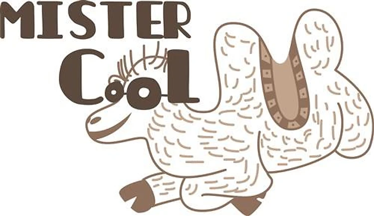 Mister Cool Camel