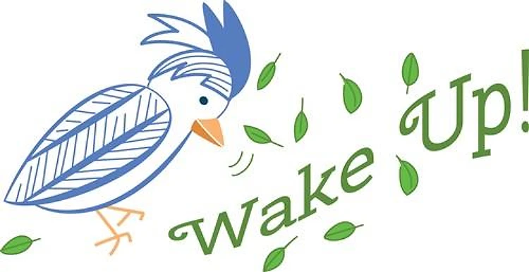 Wake Up