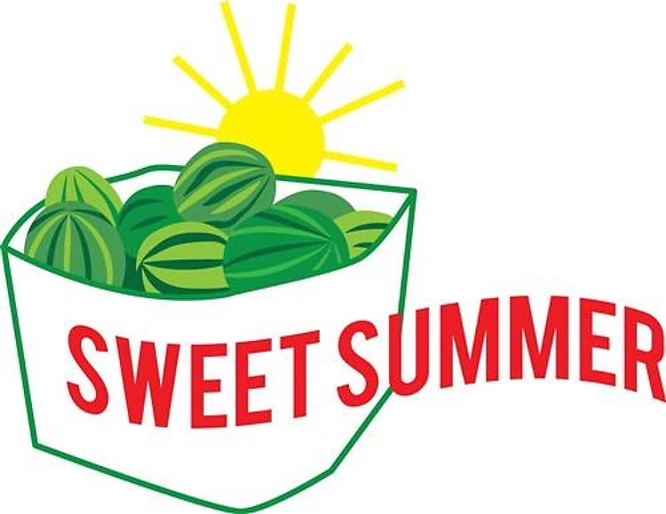 Sweet Summer Melon