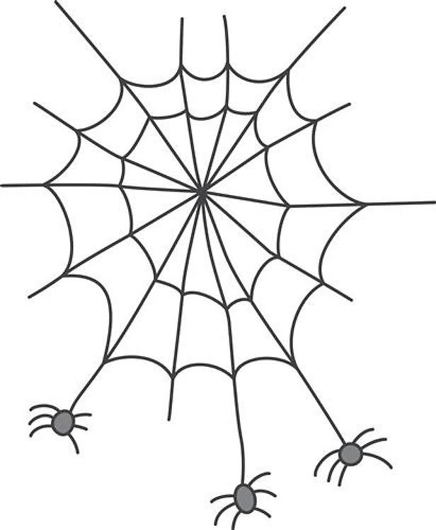 Spider Web