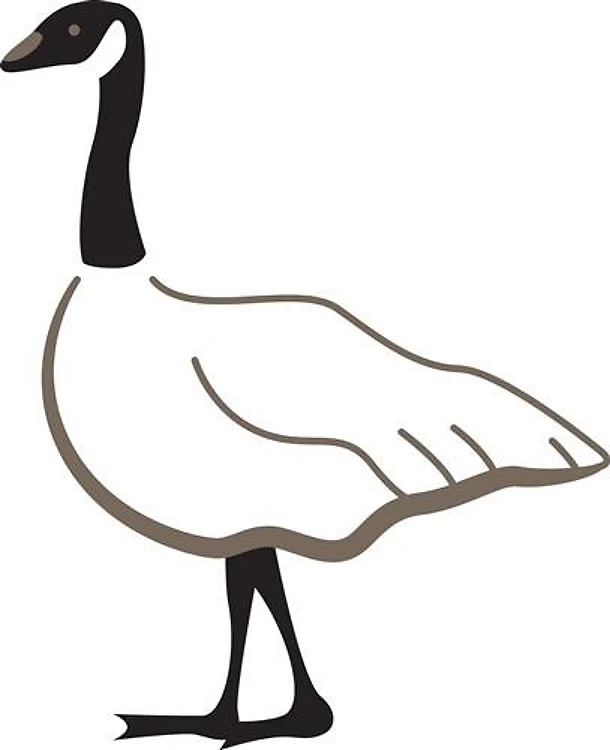 Goose