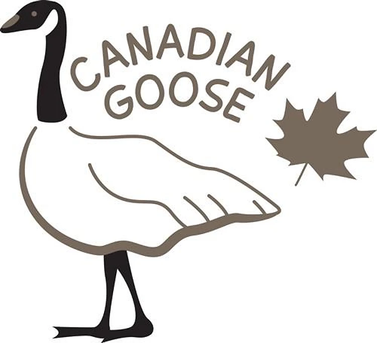 Canadian Goose