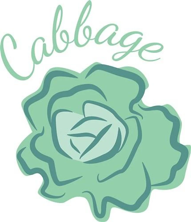 Cabbage Head