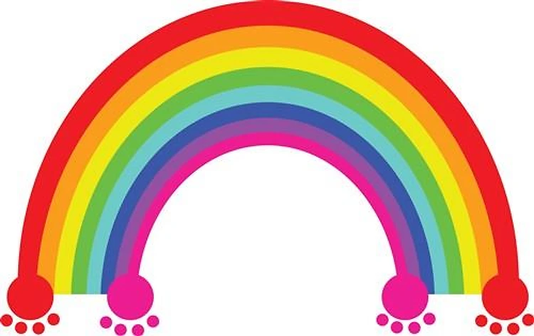 Dog Rainbow