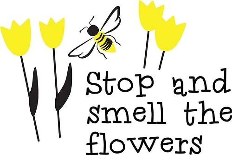 Smell The Flowers