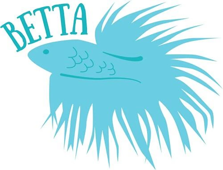 Betta Fish