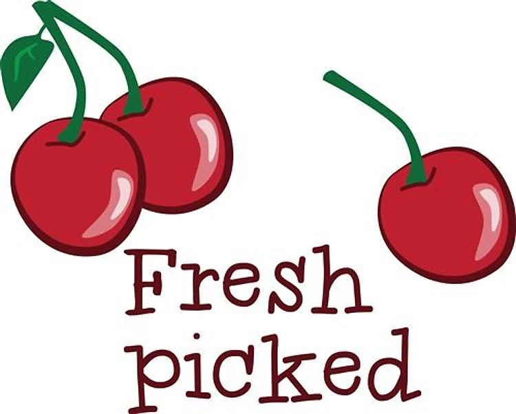 Fresh Picked Cherry