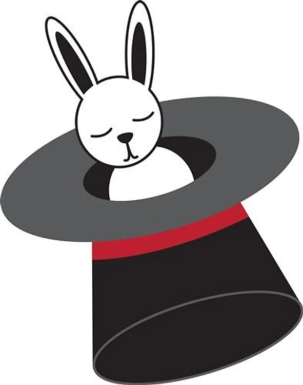Rabbit In Hat