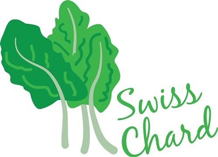 Swiss Chard Greens