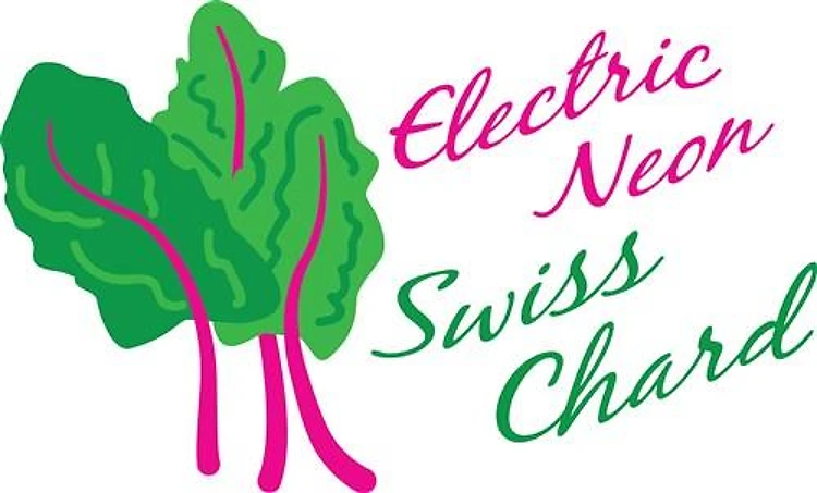 Neon Swiss Chard