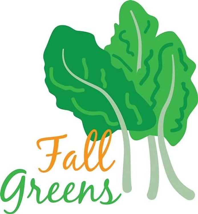 Fall Greens
