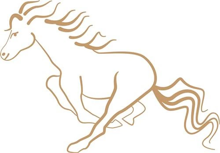 Horse Running