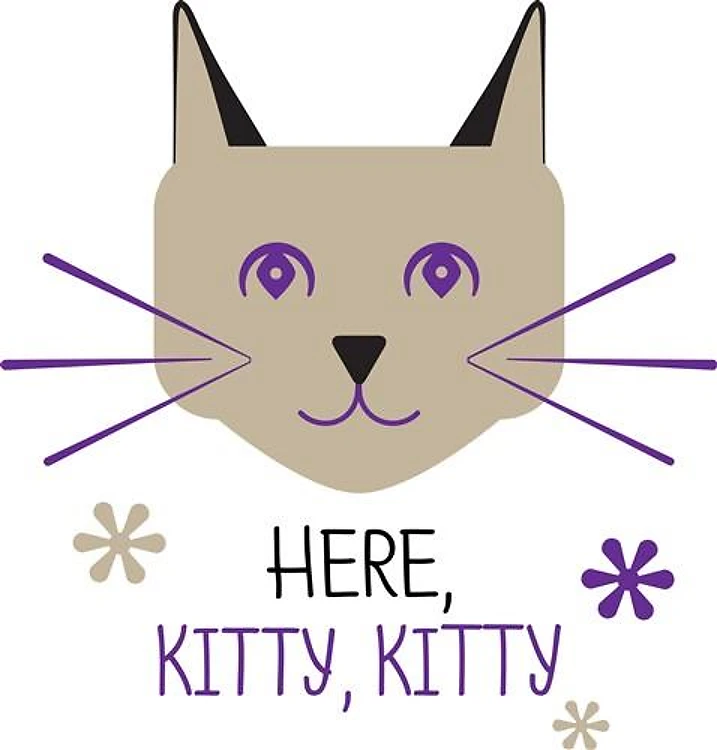 Here Kitty