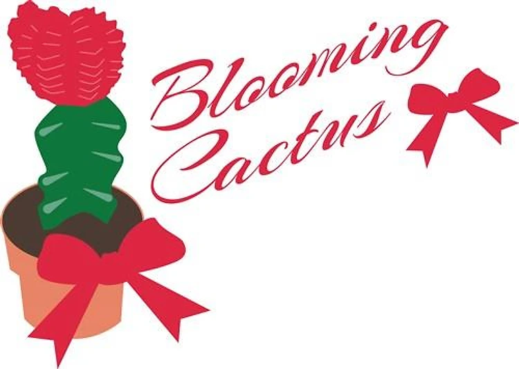 Blooming Cactus
