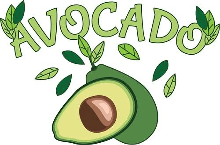 Avocado Leaves