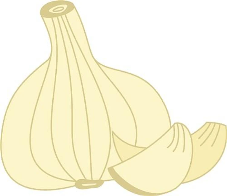 Garlic