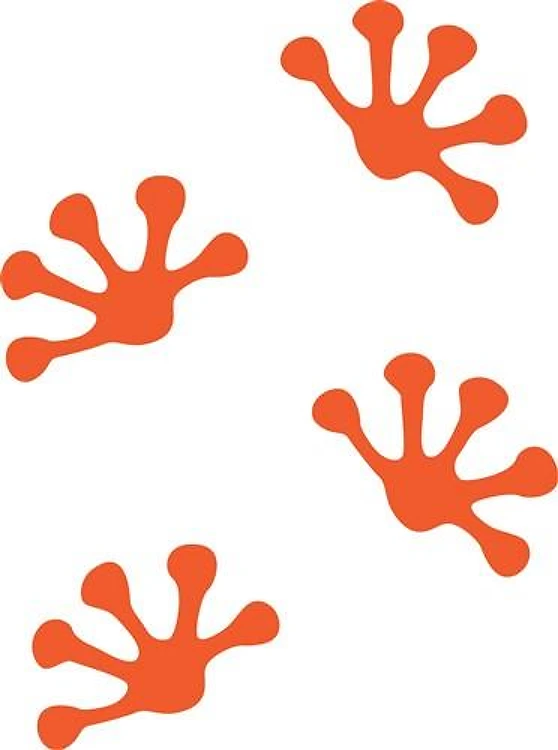 Gecko Tracks