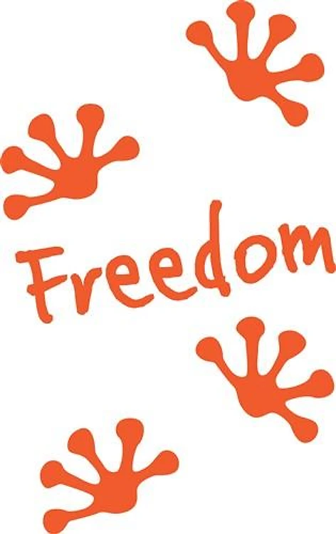 Freedom Gecko