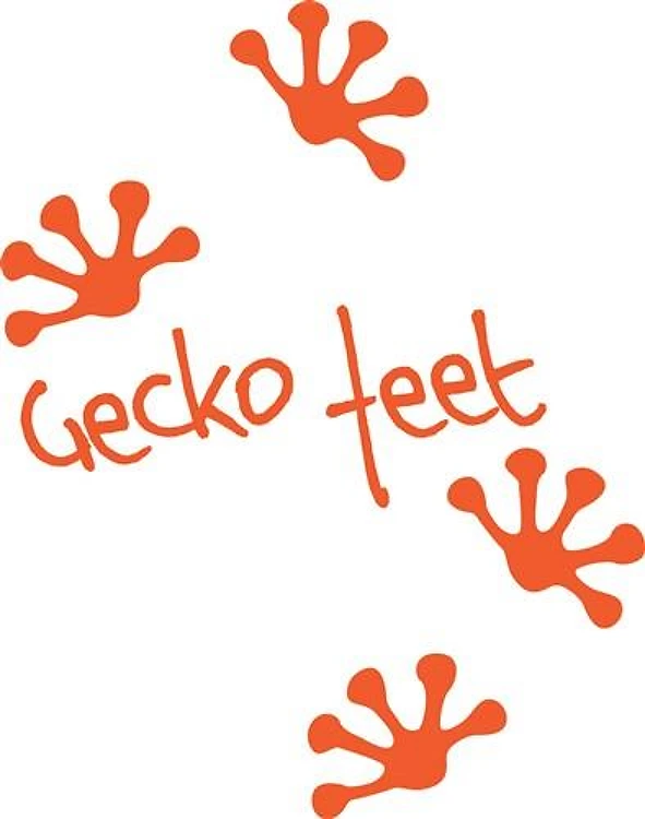 Gecko Feet