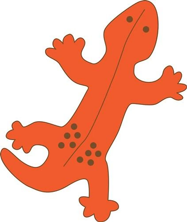 Orange Gecko