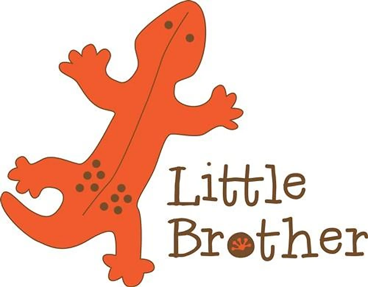 Little Brother