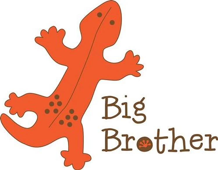 Big Brother