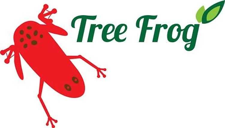 Tree Frog