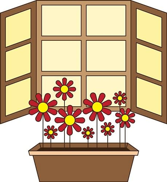 Window Box