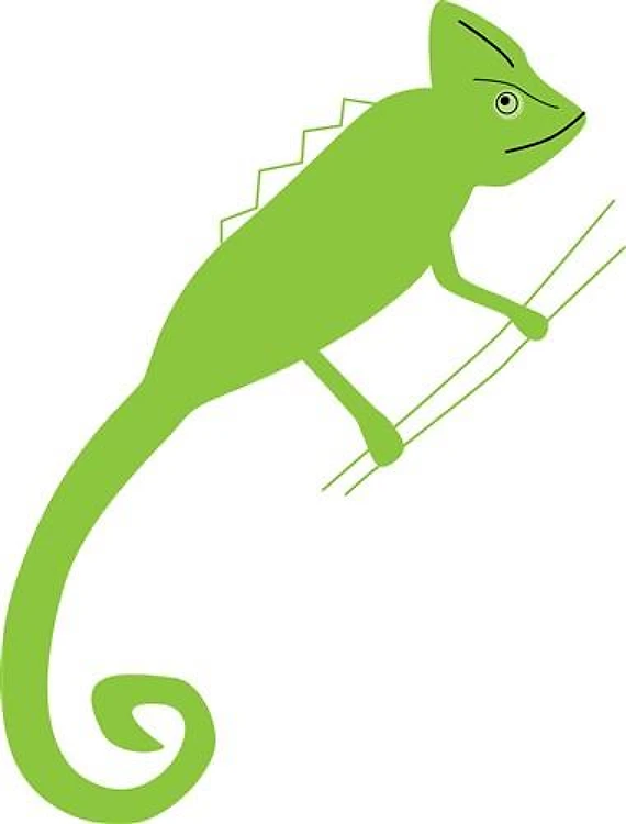 Chameleon