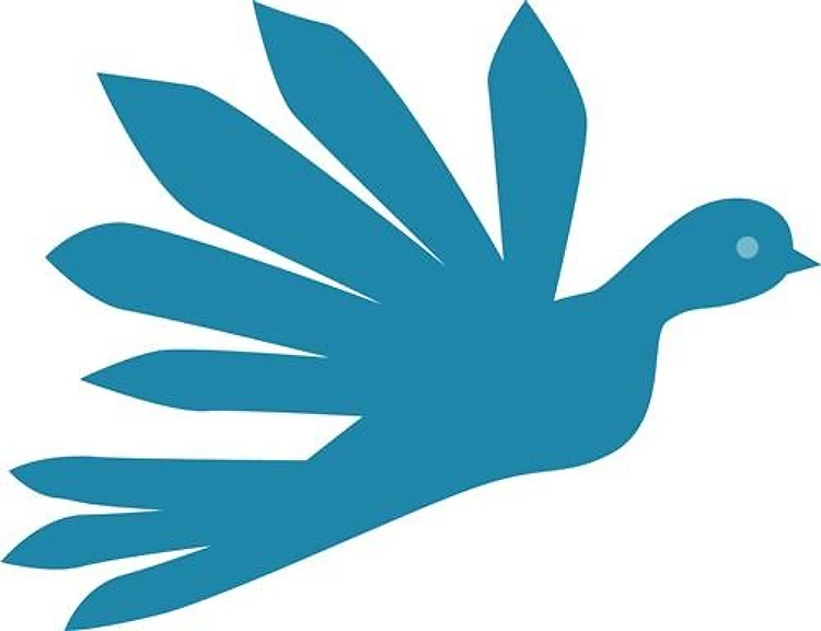 Blue Bird