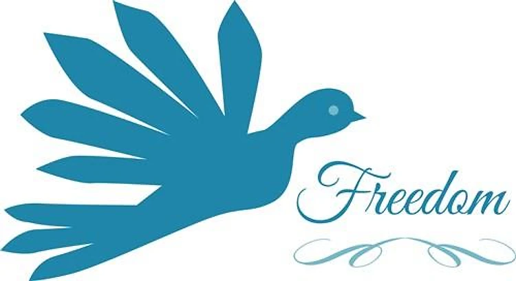 Freedom Bird