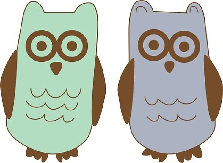 Two Owls