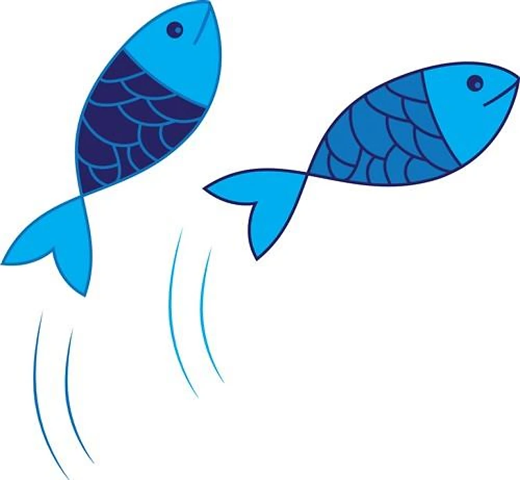 Fish Jumping