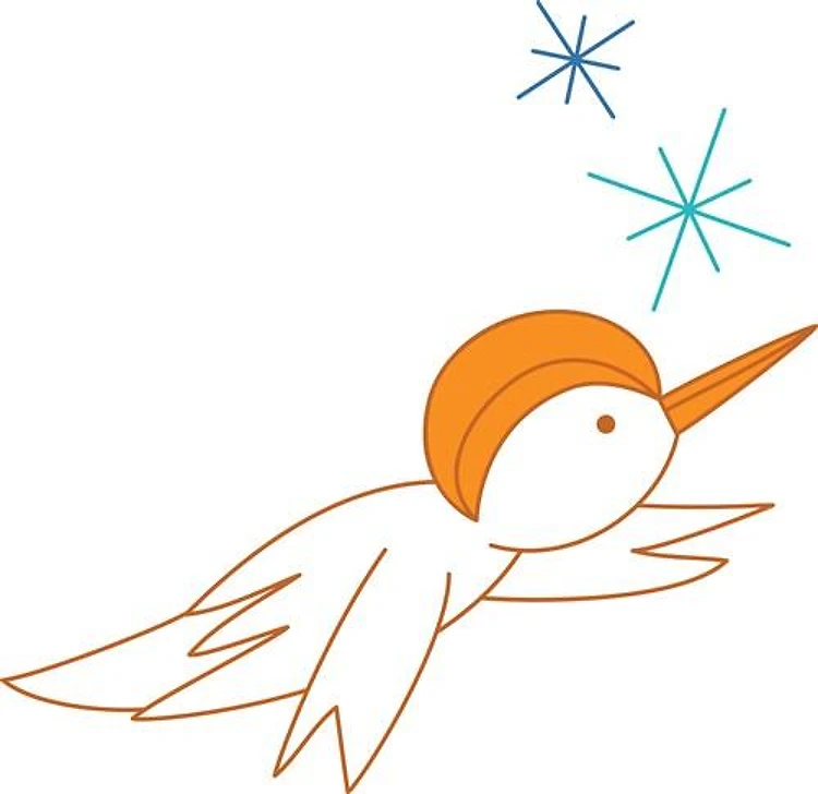 Bird Flying