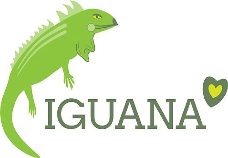 Iguana Love