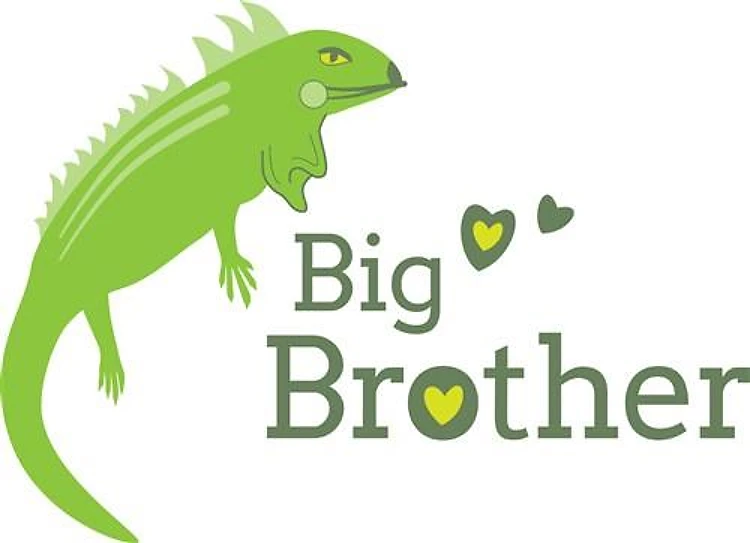 Big Brother Iguana