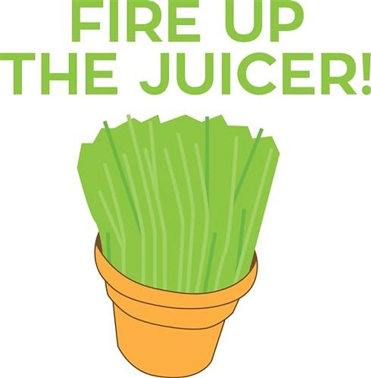 The Juicer
