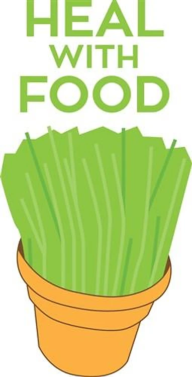 Heal With Food