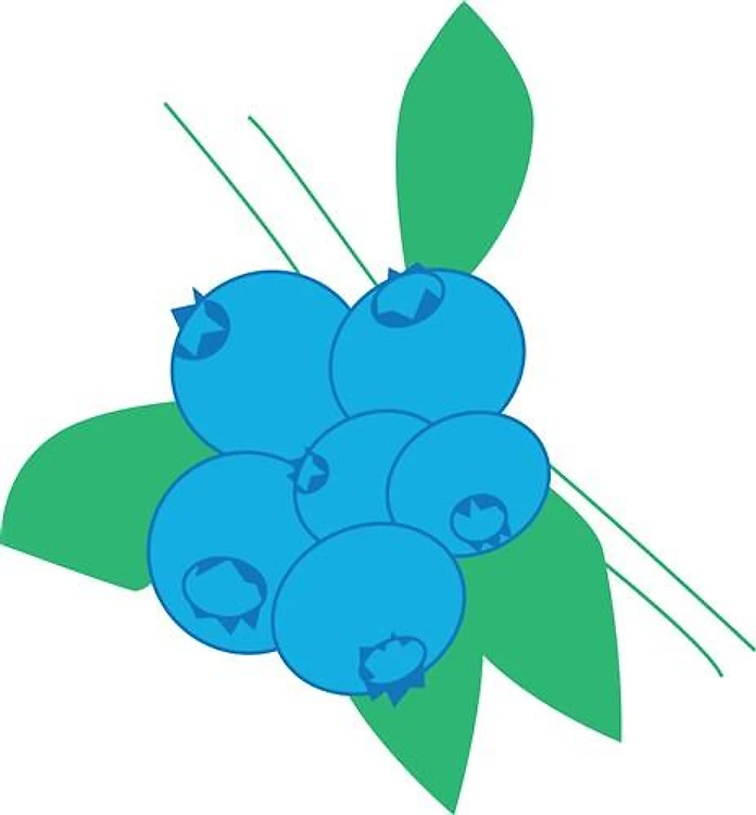 Blueberries