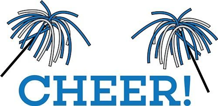 Cheer Pom Pom