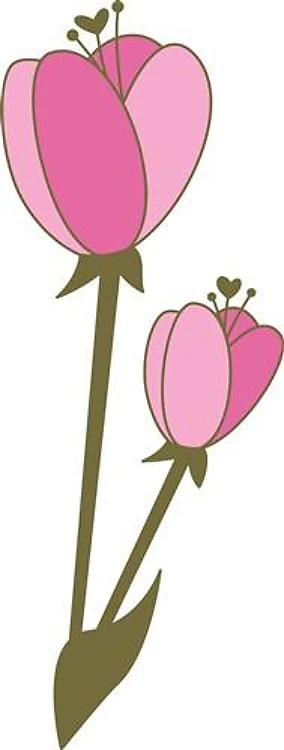 Tulip Flower