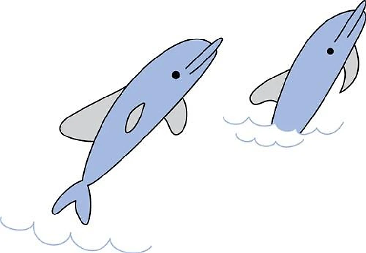 Dolphins