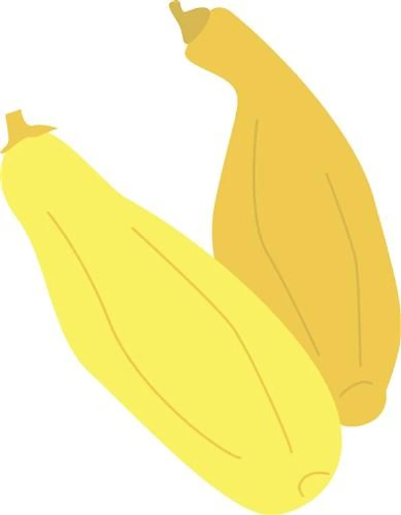 Yellow Squash